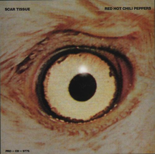 Red Hot Chili Peppers Scar Tissue - Custom Sleeve US Promo CD